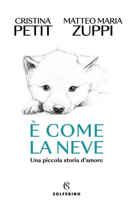 Libro È come la neve Matteo Maria Zuppi