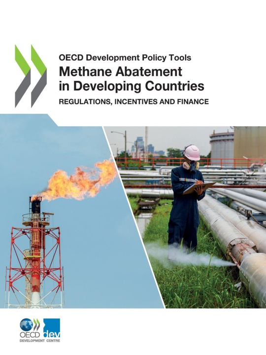 Kniha Methane Abatement in Developing Countries OECD