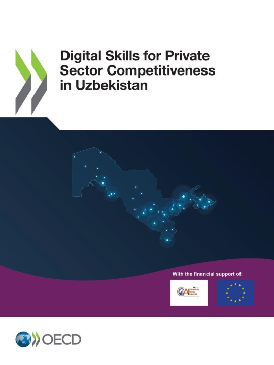 Kniha Digital Skills for Private Sector Competitiveness in Uzbekistan OECD