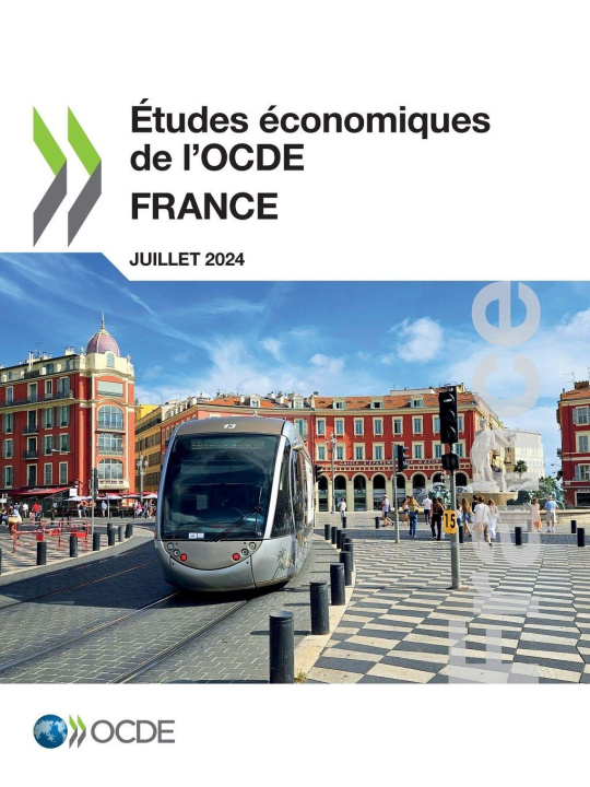 Knjiga Études économiques de l'OCDE OECD