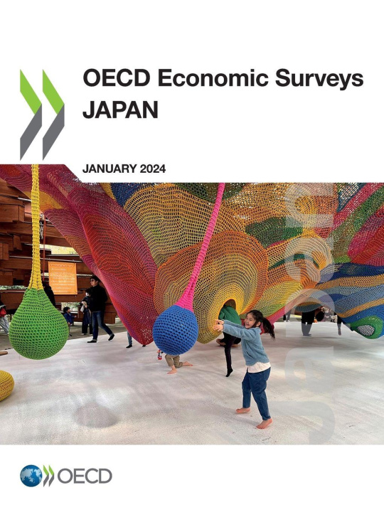Boek OECD Economic Surveys OECD