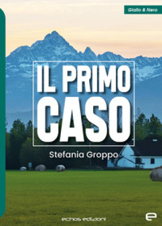 Carte primo caso Stefania Groppo