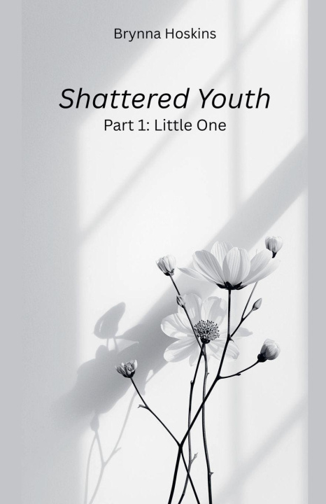 Knjiga Shattered Youth Brynna Hoskins
