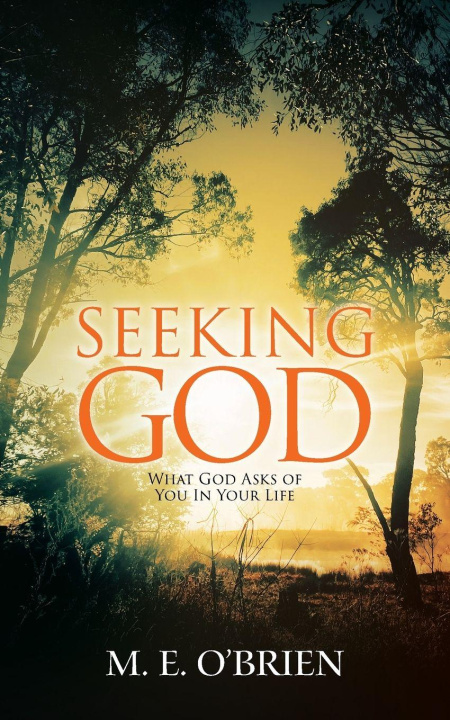 Kniha Seeking God M. E. O'Brien