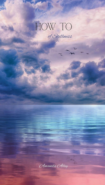 Kniha How To of stillness Amanda Alley