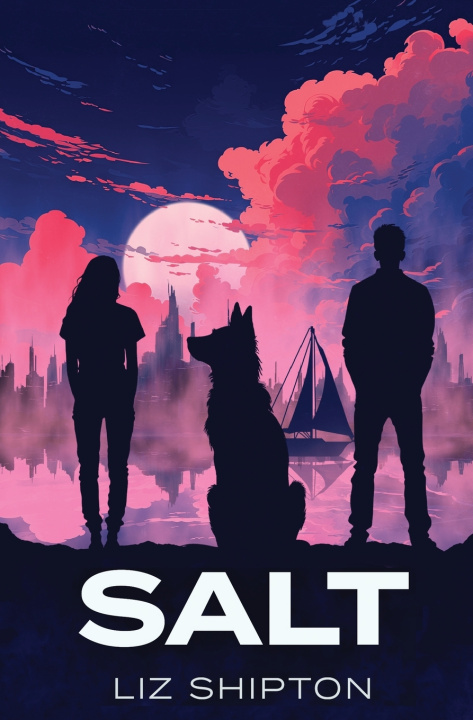 Kniha Salt Liz Shipton