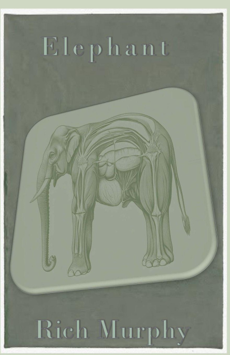Kniha Elephant Rich Murphy