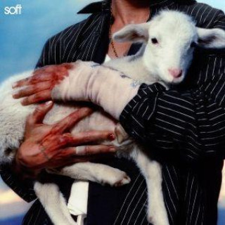 Audio Soft LANY