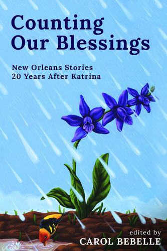 Knjiga COUNTING OUR BLESSINGS 