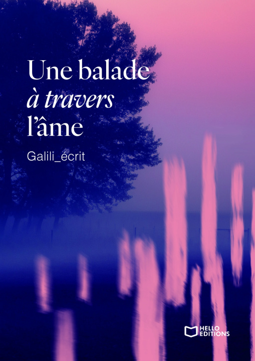 Kniha Une balade à travers l'âme Galili_écrit