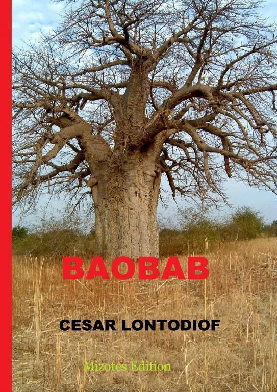 Kniha BAOBAB LONTODIOF