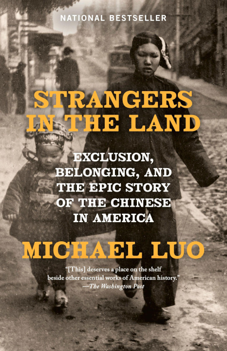 Carte STRANGERS IN THE LAND LUO MICHAEL