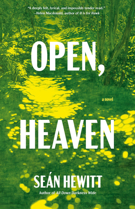 Libro OPEN HEAVEN HEWITT SEAN