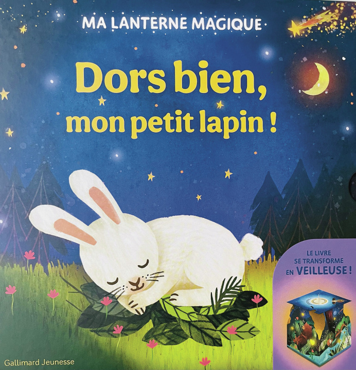 Book Dors bien, mon petit lapin (tp) Saldana