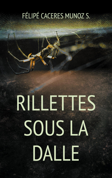 Carte RILLETTES SOUS DALLE CACERES MUNOZ S. FELIPE