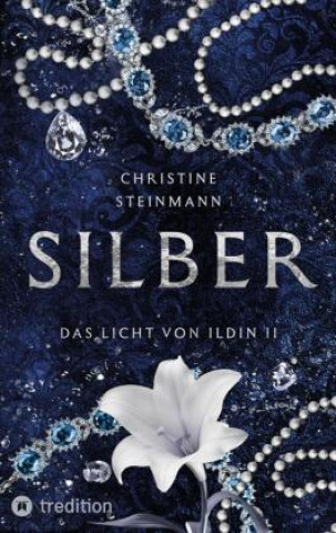 Kniha SILBER Christine Steinmann