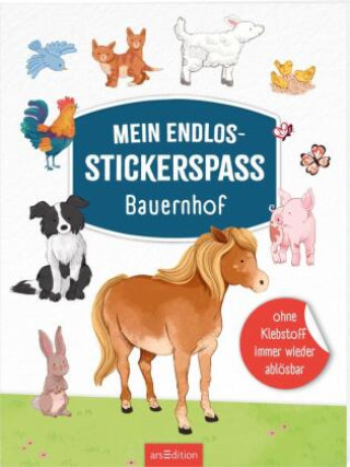 Knjiga Mein Endlos-Stickerspaß - Bauernhof Rosie Butcher