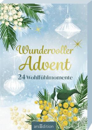 Knjiga Wundervoller Advent Toni Hamm