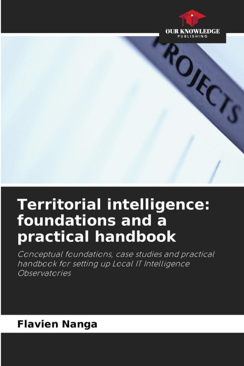 Kniha Territorial intelligence: foundations and a practical handbook Flavien Nanga