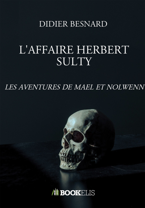 Kniha L'AFFAIRE HERBERT SULTY DIDIER BESNARD