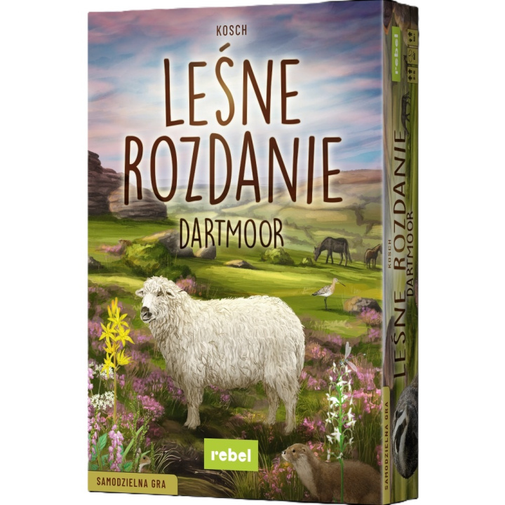 Carte Gra Leśne rozdanie Dartmoor 