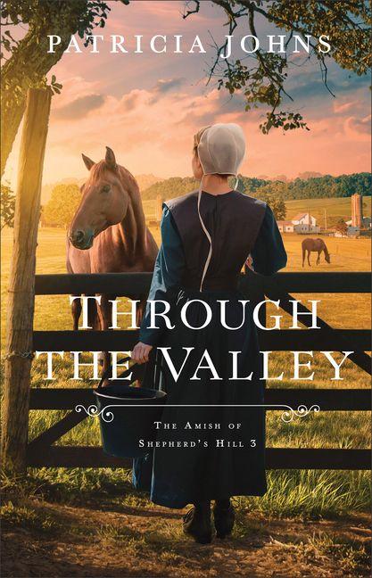 Kniha Through the Valley Patricia Johns