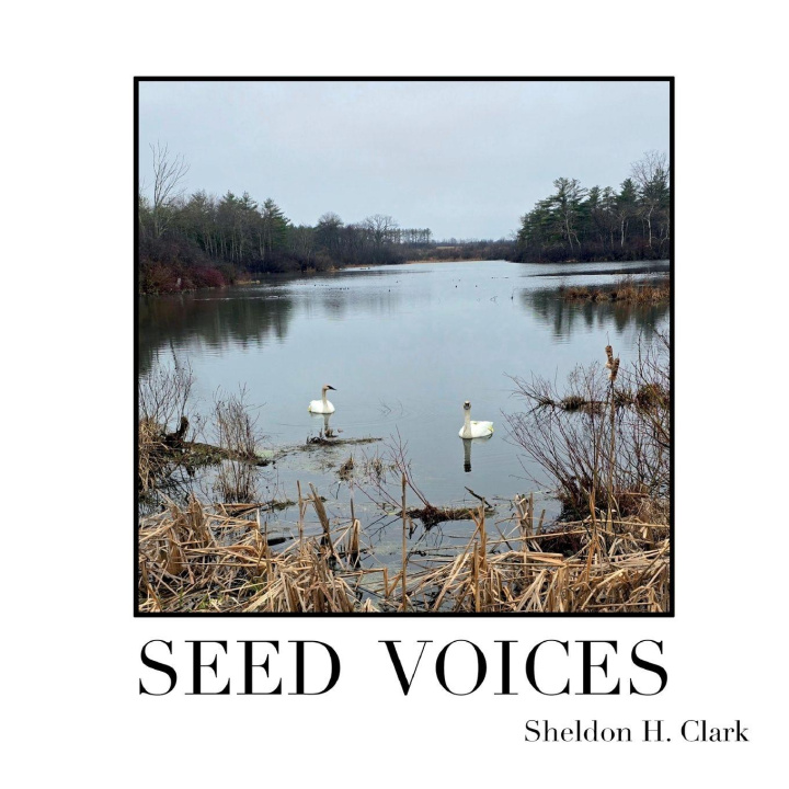 Kniha Seed Voices Sheldon H. Clark