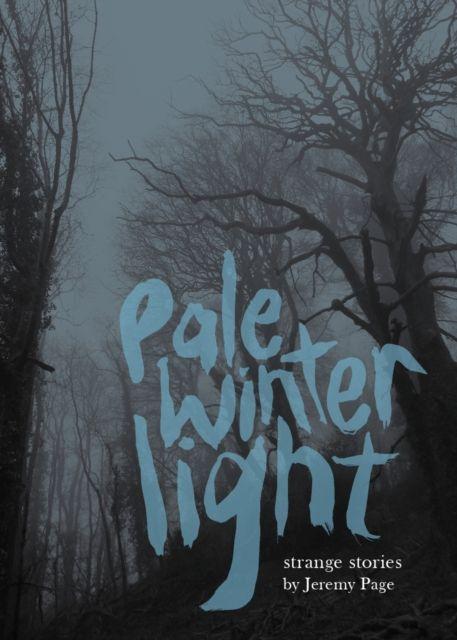 Kniha Pale Winter Light Jeremy Page