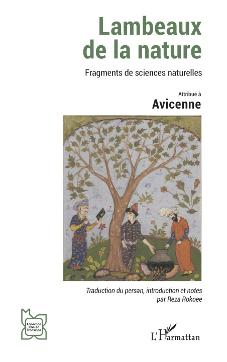 Kniha Lambeaux de la nature Avicenne