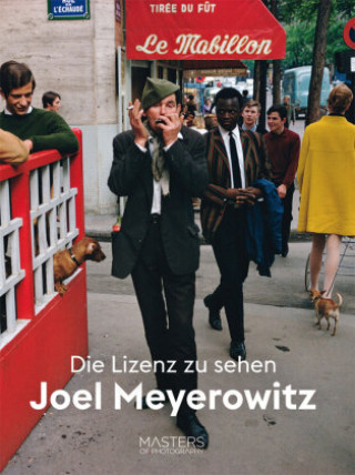 Kniha Lizenz zu sehen: Joel Meyerowitz Joel Meyerowitz
