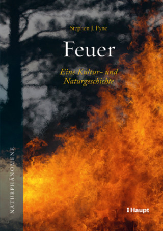 Kniha Feuer Susanne Schmidt-Wussow