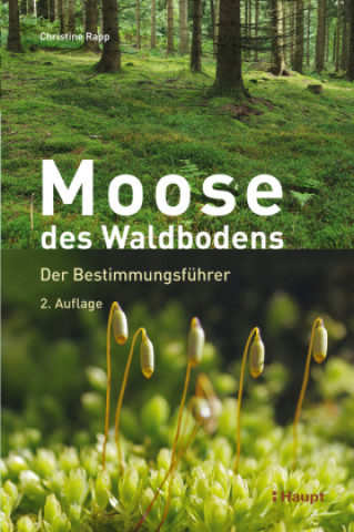 Carte Moose des Waldbodens Christine Rapp