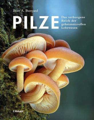 Book Pilze Jorunn Wissmann