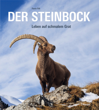 Kniha Der Steinbock Flurin Filli