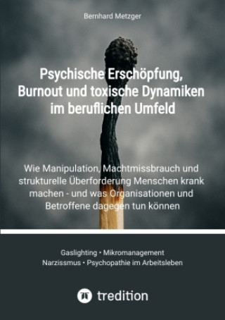 Kniha Psychische Erschöpfung, Burnout und toxische Dynamiken im beruflichen Umfeld Bernhard Metzger