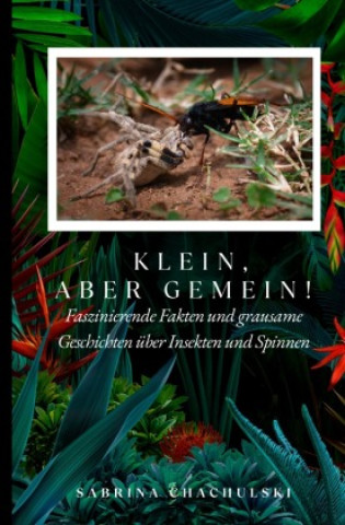 Kniha Klein, aber gemein! Sabrina Chachulski