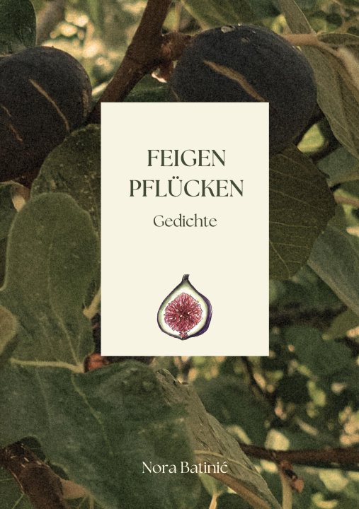 Kniha Feigen pflücken 