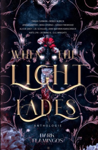 Kniha When the Light Fades Jasmine R.