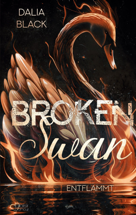 Kniha Broken Swan: Entflammt 
