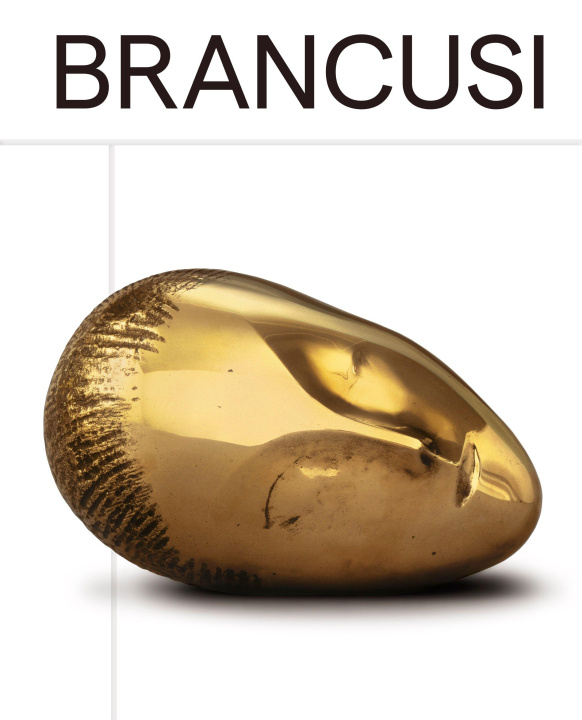 Kniha Constantin Brancusi Klaus Biesenbach