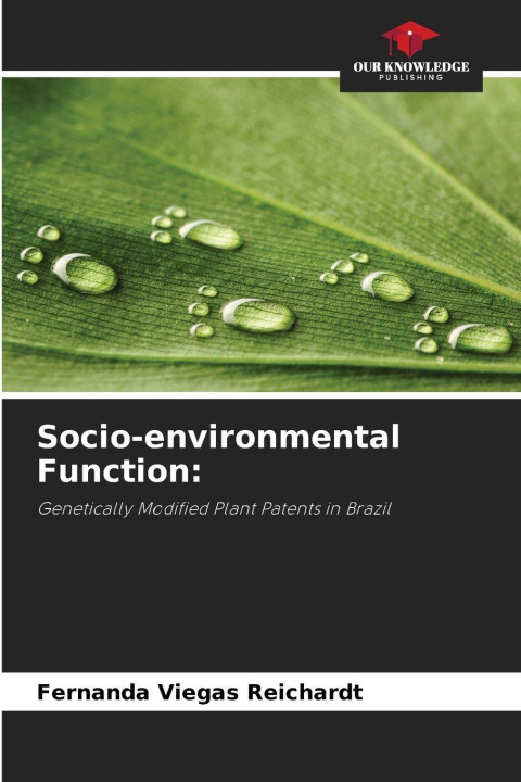 Carte Socio-environmental Function: Fernanda Viegas Reichardt