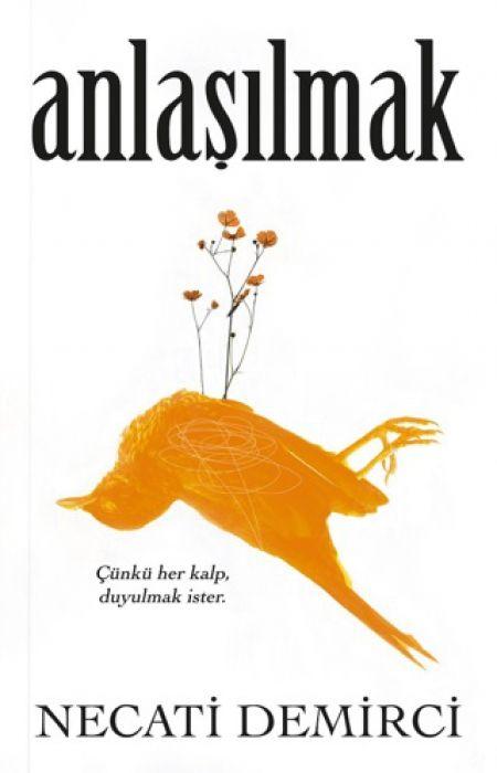 Kniha Anlasilmak 