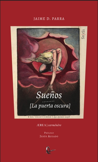 Boek SUEÑOS. LA PUERTA OSCURA ÁLVAREZ PRIETO JOSÉ FÉLIZ
