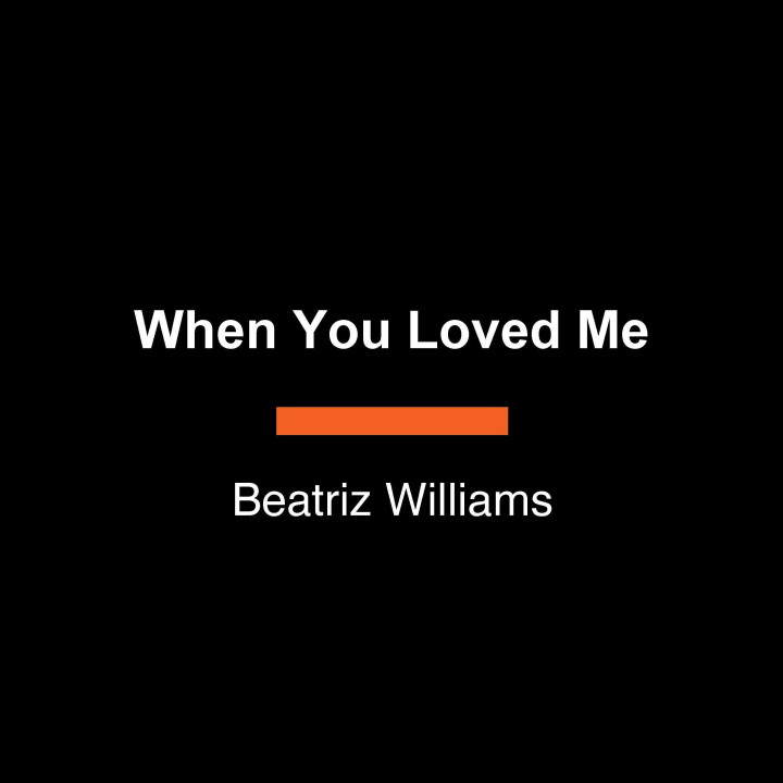 Kniha When You Loved Me WILLIAMS BEATRIZ