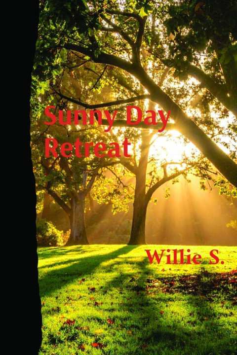 Kniha Sunny Day Retreat Willie S.