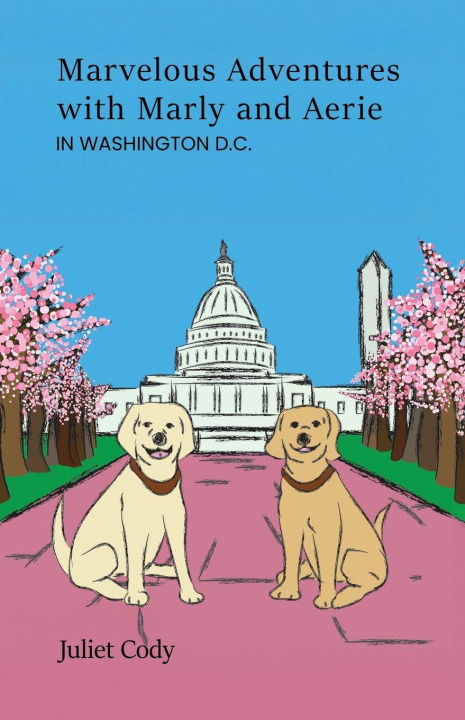 Kniha Marvelous Adventures with Marly and Aerie in Washington D.C. Juliet Cody