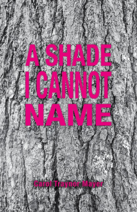 Kniha A SHADE I CANNOT NAME Carol Traynor Mayer