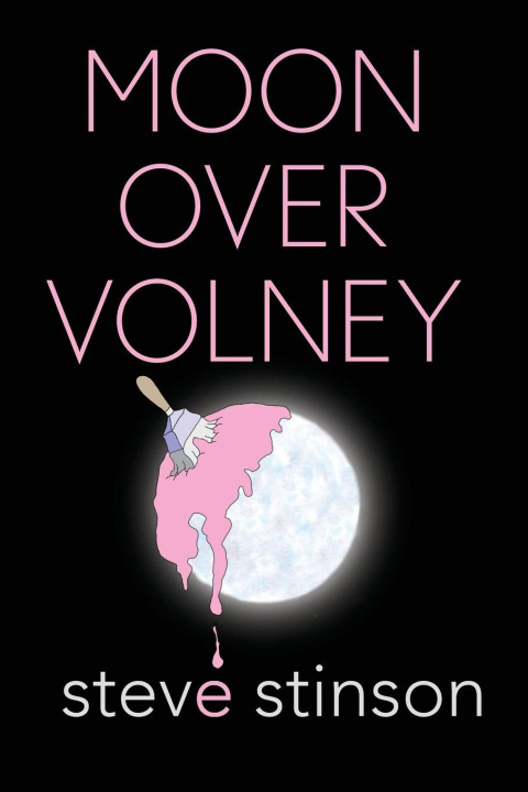 Kniha Moon Over Volney steve stinson