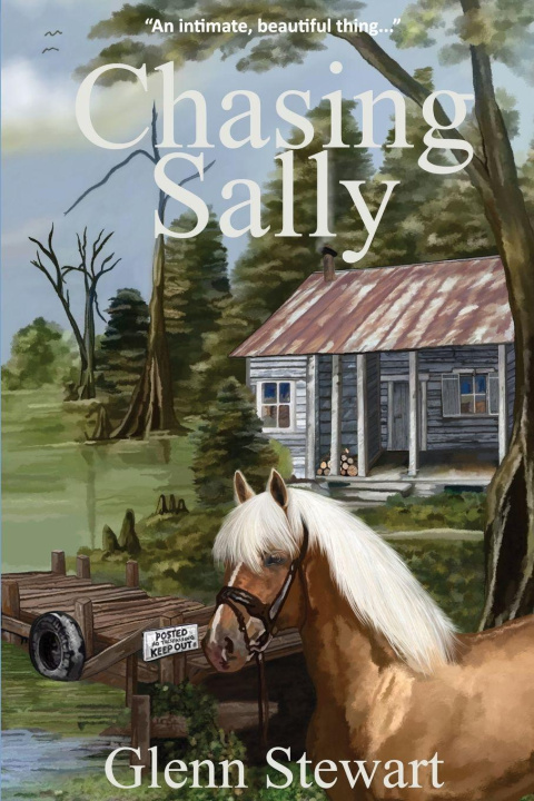 Kniha Chasing Sally Shannon-Garvey