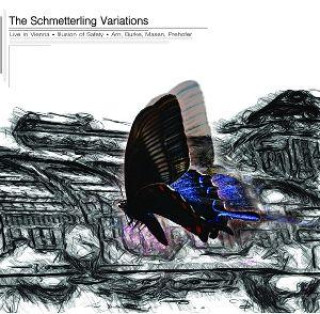 Audio The Schmetterling Variations Illusion of Safety (Arn/Burke/Masen/Prehofer)